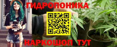 ECSTASY Боровичи